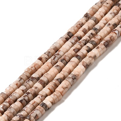Natural Fossil Beads Strands G-I339-05-1