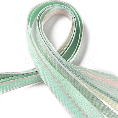 18 Yards 6 Styles Polyester Ribbon SRIB-Q022-F06-1