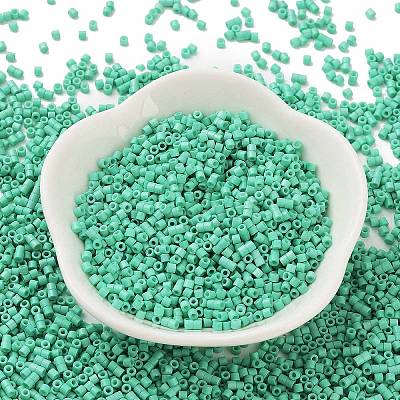Baking Paint Glass Seed Beads SEED-S042-05B-60-1