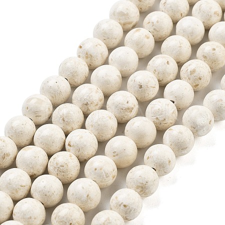Natural Fossil Beads Strands G-H026-02C-1