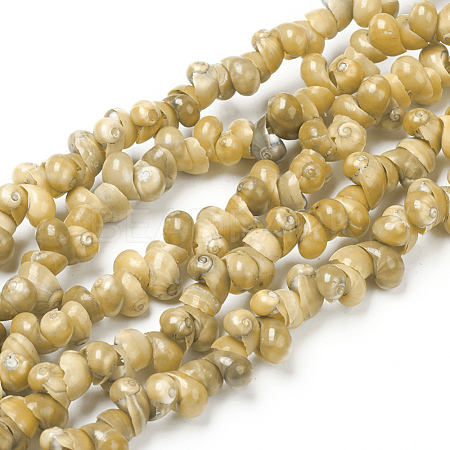 Natural Spiral Shell Beads Strands X-BSHE-I011-11A-1