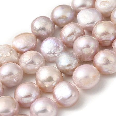 Natural Cultured Freshwater Pearl Beads Strands PEAR-A006-13D-1