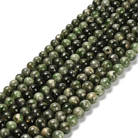 Natural Diopside Beads Strands G-R006-A01-03-1