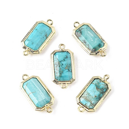 Dyed Natural Howlite Faceted Rectangle Connector Charms G-H323-04G-02-1