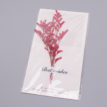 Paper Cards DIY-WH0183-41E-1