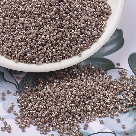 MIYUKI Delica Beads SEED-J020-DB2271-1
