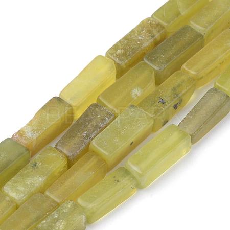 Natural Peridot Beads Strands G-Q949-003-1