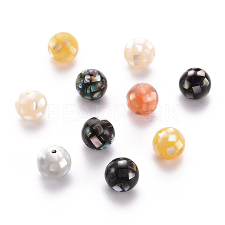 Natural Mixed Shell Beads SSHEL-T014-37-10mm-1