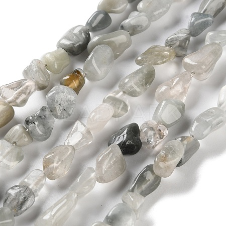 Natural Eagle Eye Stone Beads Strands G-P497-01C-14-1