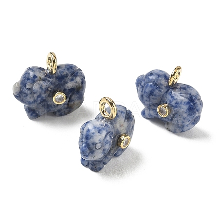 Natural Blue Spot Jasper Carved Pendants GG-CBA105B-03G-G-1