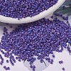 MIYUKI Delica Beads SEED-J020-DB0880-1