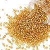 TOHO 8/0 Round Beads SEED-XTR08-0022-1