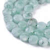 Natural Glass Beads Strands G-I247-19C-3
