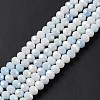 Ombre Effect Dyed Glass Beads Strands X-GLAA-C023-02A-6