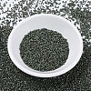 MIYUKI Delica Beads SEED-X0054-DB0324-2