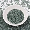 MIYUKI Delica Beads X-SEED-J020-DB2379-2