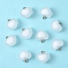 10Pcs Frosted Resin Pendants RESI-YW0004-45F-1