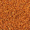 MIYUKI Delica Beads SEED-X0054-DB0681-3