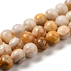 Natural Crazy Lace Agate Beads Strands G-H298-A12-04-1