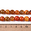 Dyed & Heated Natural Fire Crackle Agate Beads Strands G-N359-01B-09-5