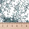 MIYUKI Round Rocailles Beads X-SEED-G009-RR0362-4