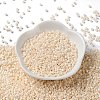 Baking Paint Glass Seed Beads X-SEED-S042-15A-02-2