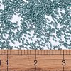 MIYUKI Delica Beads X-SEED-J020-DB2131-4