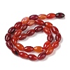 Natural Agate Beads Strands G-Q194-B01-01K-3