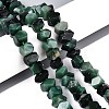 Natural Fuchsite Beads Strands G-N327-05-30-1