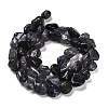 Natural Iolite Beads Strands G-P497-01E-01-3