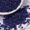 MIYUKI Round Rocailles Beads SEED-X0055-RR1020-1