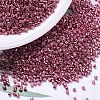 MIYUKI Delica Beads SEED-JP0008-DB0428-1