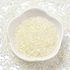 Imitation Cat Eyes Glass Seed Beads X-SEED-H003-03B-2