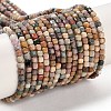Natural Agate Beads Strands X-G-G991-C02-01-1