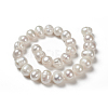 Natural Cultured Freshwater Pearl Beads Strands X-PEAR-S012-53-2