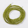 Glass Beads Strands X-EGLA-E057-02B-13-2