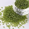 12/0 Glass Seed Beads SEED-A005-2mm-24-1