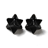 Natural Obsidian Beads G-A206-01B-19-2