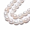 Natural Cultured Freshwater Pearl Beads Strands X-PEAR-N012-07B-4