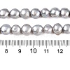 Natural Cultured Freshwater Pearl Beads Strands PEAR-R064-24-5