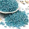 Glass Seed Beads SEED-S042-04A-13-1