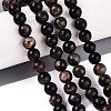 Natural Biotite Beads Strands G-Q616-01C-1