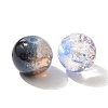 Mixed Style Glass Beads GLAA-XCP0012-02O-2