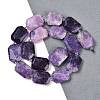 Natural Lepidolite Beads Strands G-B125-P25-01-2