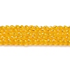 Transparent Glass Beads Strands GLAA-H021-03-06-2