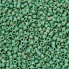 MIYUKI Delica Beads SEED-MY11-DB0877-3