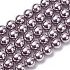 Electroplated Shell Pearl Beads Strands BSHE-G041-10mm-02-1