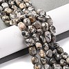 Natural Map Stone Beads Strands G-G146-A11-01-2