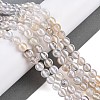 Tibetan Style dZi Beads Strands G-C133-A04-02-2