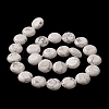Natural Howlite Beads Strands G-M403-C07-4